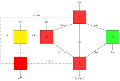 A COVID-19 epidemic model with periodicity in transmission and environmental dynamics
